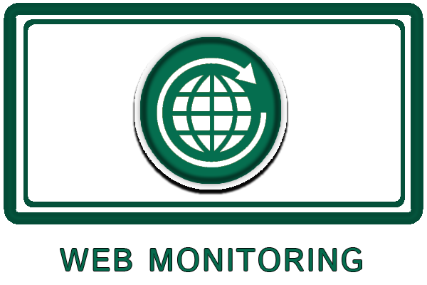 web_monitor_box.png - 135.56 kB
